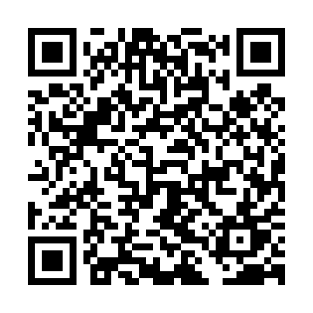 QR code for DLU41T