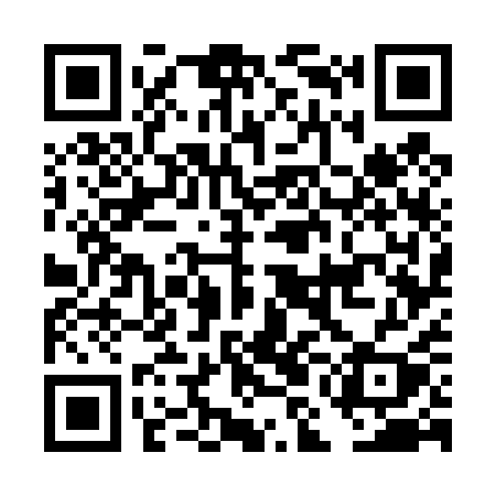 QR code for DMG41Y