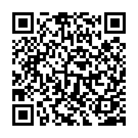 QR code for DMG55Q