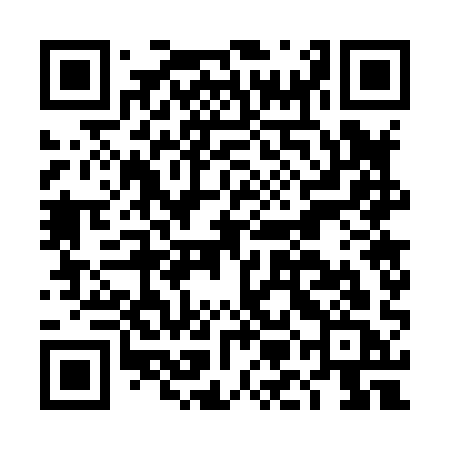 QR code for DMG81C