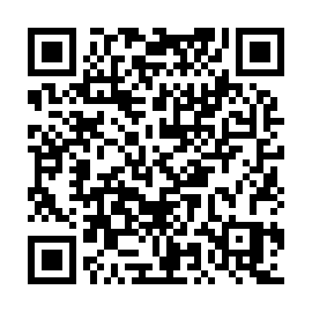 QR code for DMN92S