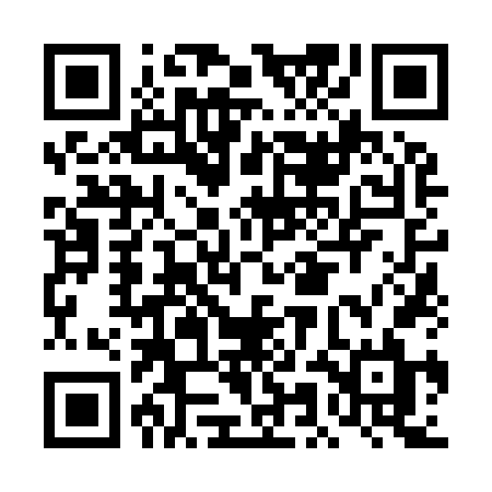 QR code for DMN96L