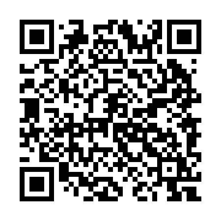QR code for DNN29Y