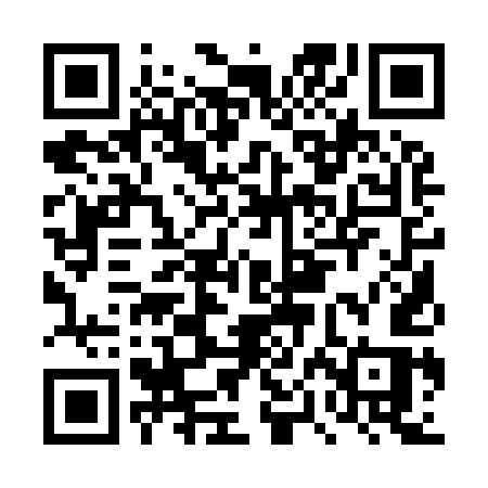 QR code for DPA95S