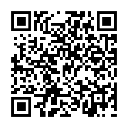 QR code for DPI95Z