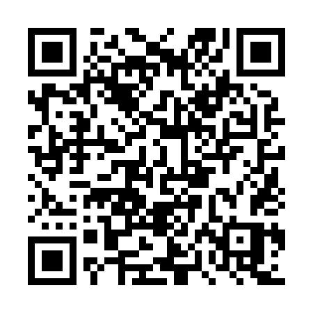QR code for DPN84S