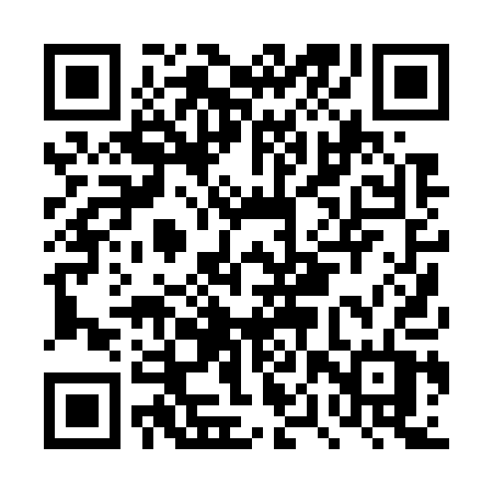 QR code for DPP71T