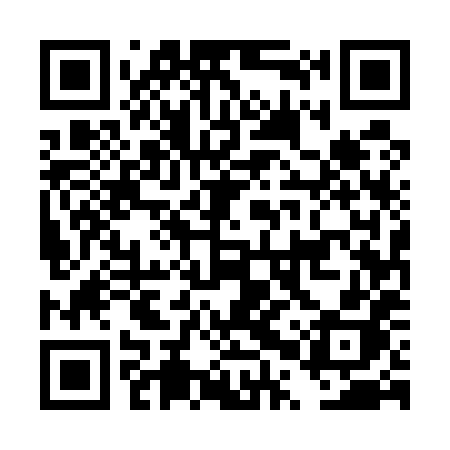 QR code for DPU58H