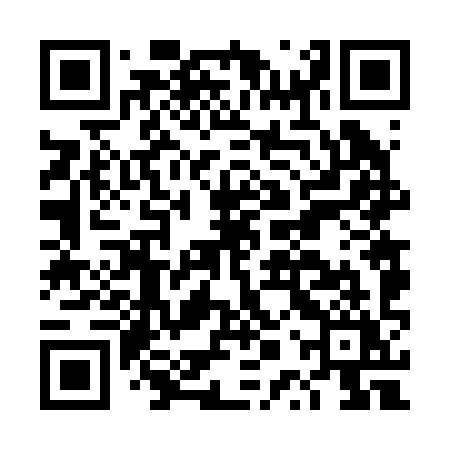 QR code for DPV29Y