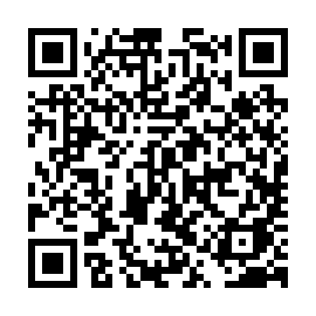QR code for DQR29A