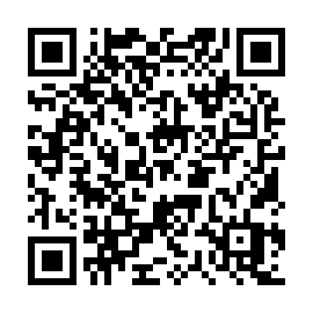 QR code for DSM96T