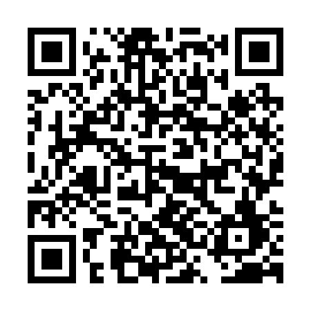 QR code for DSO23F