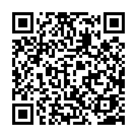 QR code for DSP53A