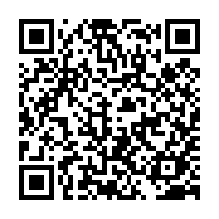 QR code for DSS49M