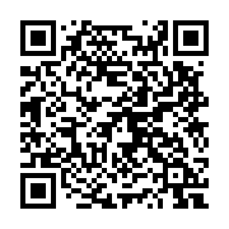 QR code for DSS53F