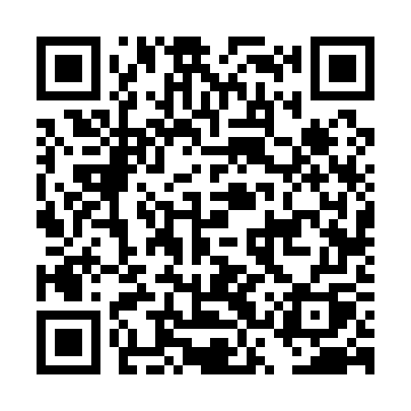 QR code for DSV17Q