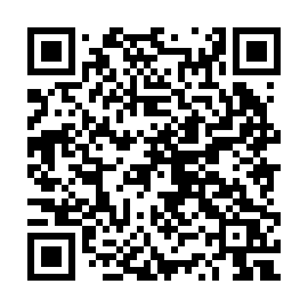 QR code for DSX20S