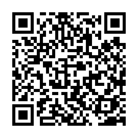QR code for DSX63H