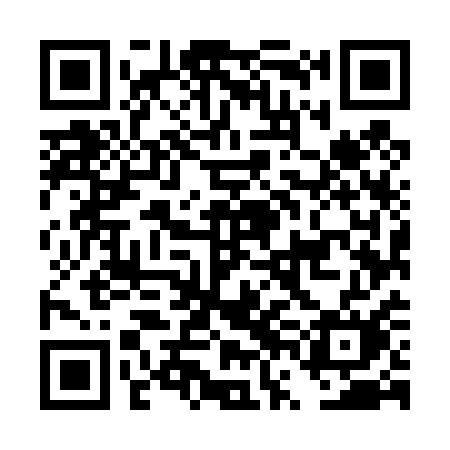 QR code for DVM41M