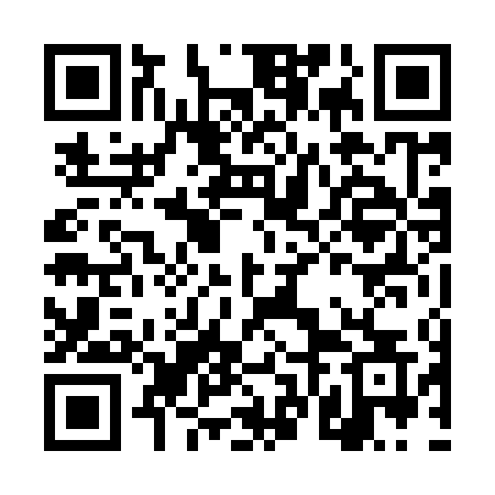 QR code for DVN94S