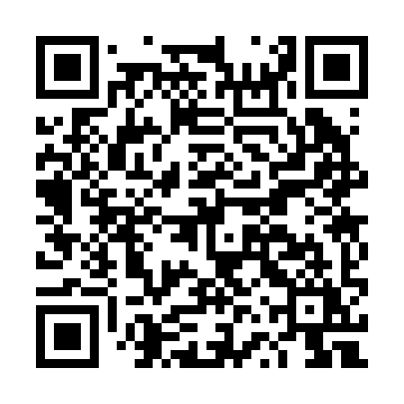 QR code for DVS29Y