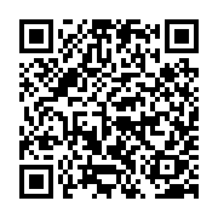 QR code for DWS29X
