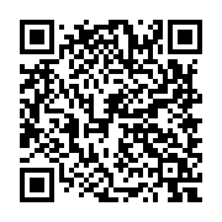 QR code for DWU98T