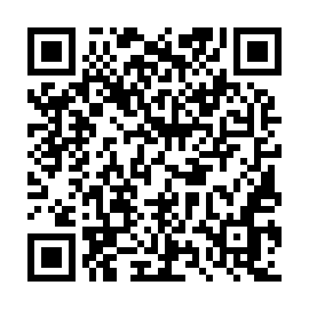 QR code for DYE95N