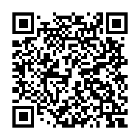 QR code for DYS51G
