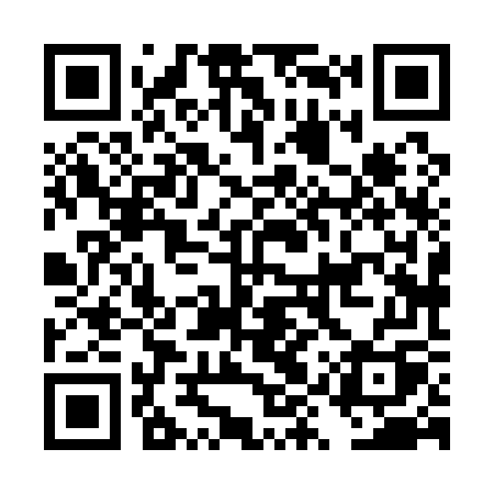 QR code for DYX17Q