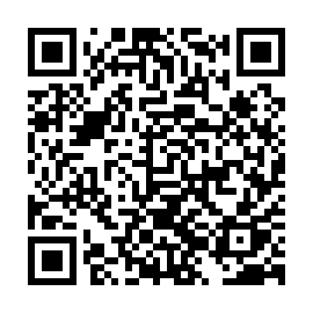 QR code for DZG11P