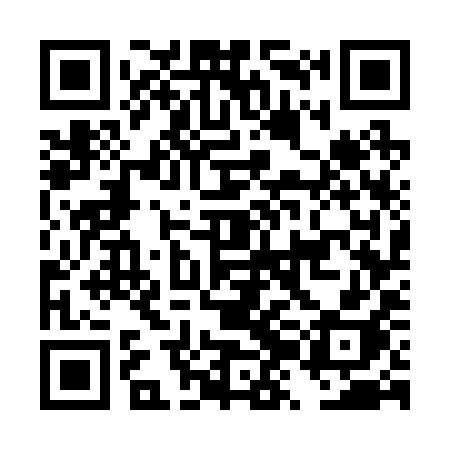 QR code for DZG29H
