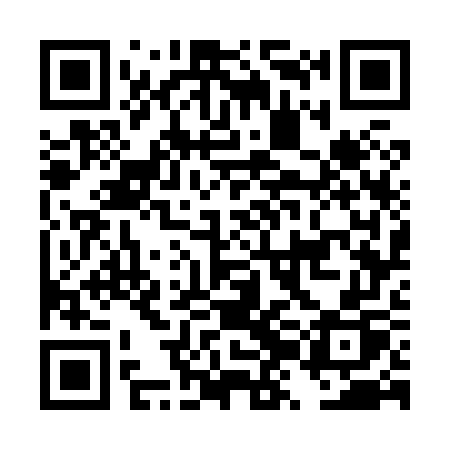 QR code for DZG87P
