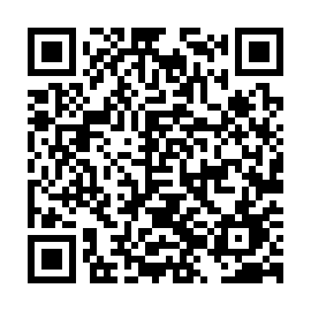 QR code for DZL31D