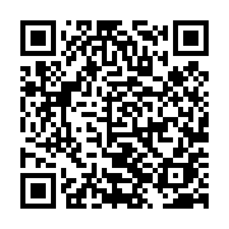 QR code for DZL40H