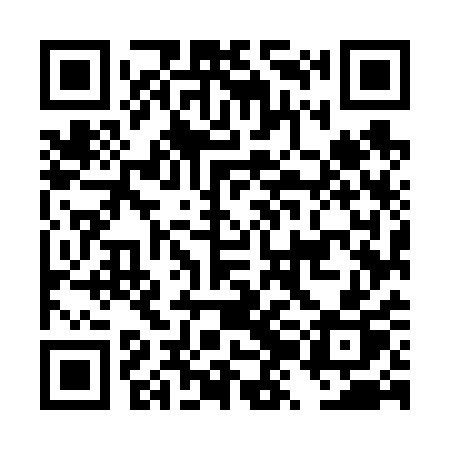 QR code for DZM61P