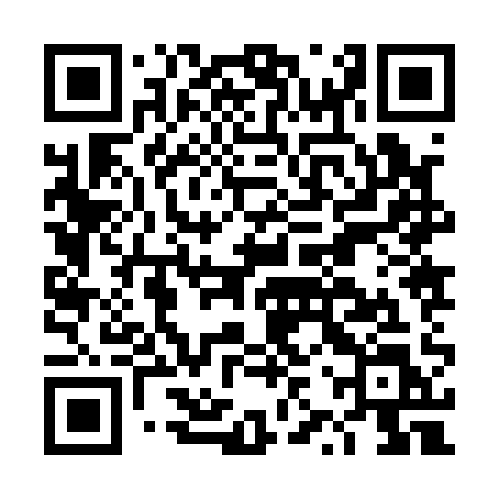 QR code for DZZ11L