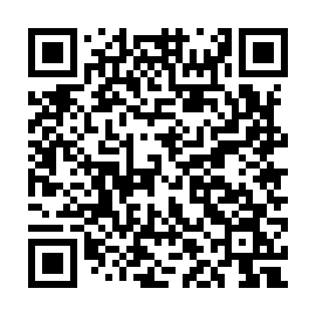 QR code for ELE96N