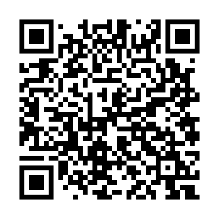 QR code for ELF17M