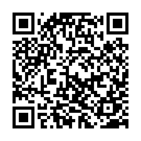 QR code for ELV29T