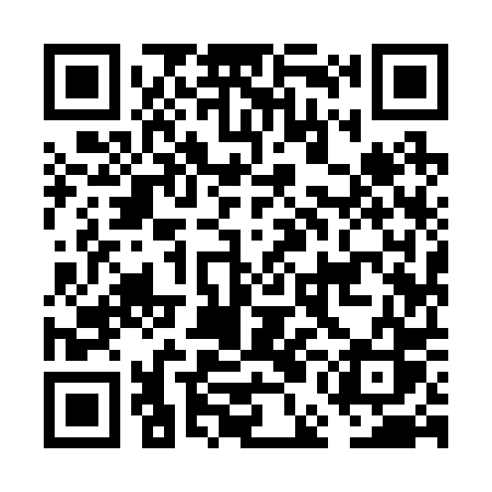 QR code for FEI20S