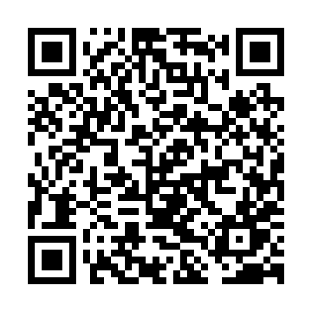 QR code for FLU28T