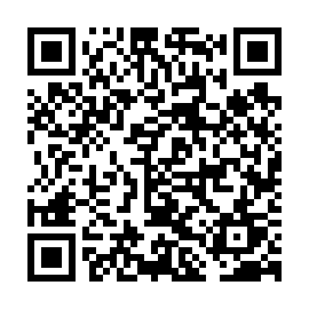 QR code for FLV63T