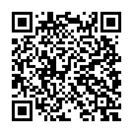 QR code for FLV78F