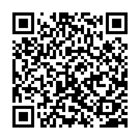QR code for FPT11X