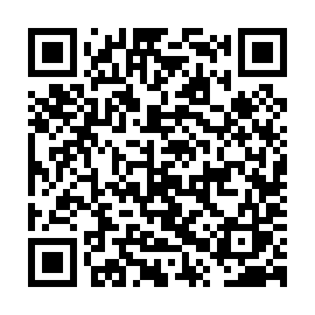 QR code for FPV09S