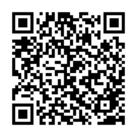 QR code for FPV38G