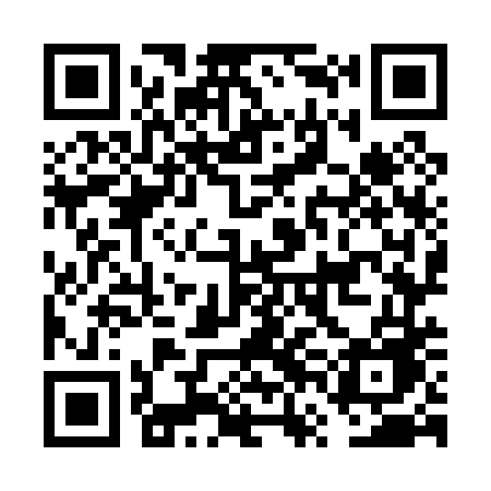 QR code for FVO04E