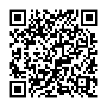 QR code for FZK29P