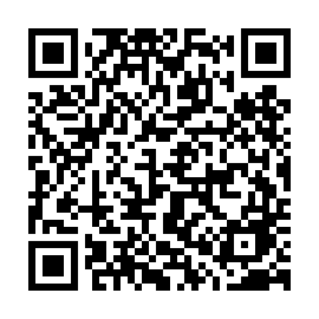 QR code for G03DDE